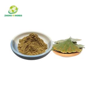 천연 유기농 은행나무 빌로바 추출물 24% 은행나무 플라보노이드 은행나무 빌로바 잎 추출물 분말 - Product Image 4