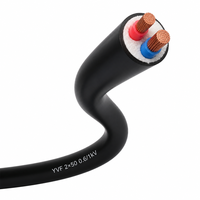 Câble YVF robuste 2 conducteurs 0,6/1 kV, bonne résistance à l'huile pour palans et engins mobiles 2*50mm²