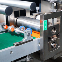 Système intégré automatique de fabrication de patchs électriques haute sécurité pour les soins des plaies, patchs anti-moustiques et thérapeutiques à base de plantes