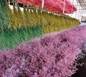 120g Fábrica al por mayor amante hierba San Valentín hierba conservada Limonium para el hogar/boda/decoración arreglo floral - Product Image 6