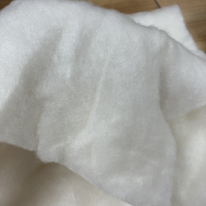 Sữa Protein Sợi Không Khí Nóng Thông Qua Sữa Bông Sợi Không Dệt Vải Bông Cao Cấp Nhiệt Quần Áo Làm Đầy Bông - Product Image 6