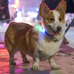 Collar de perro LED SinSky, luces brillantes personalizadas, seguridad nocturna, caminar, personalizado, impermeable, luz intermitente, Collar de perro reflectante - Product Image 6
