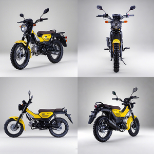 Hot-Selling EEC Certified Open <b>Body</b> Two-Wheeled Gasoline Motorcycles New Adult Disc for Vehicle - Product Image 4