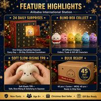 Calendrier de l'Avent Southpeak Toy Halloween Dumpling, 31 boîtes mystères de jouets Squishy à montée lente, cadeau de compte à rebours 26x18cm, OEM d'usine WS