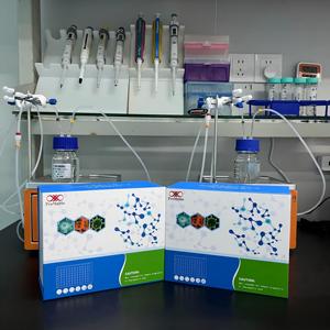 Human <span class=keywords><strong>Free</strong></span> <span class=keywords><strong>Haemoglobin</strong></span>, f-Hb ELISA Forschungs-Kit - Product Image 3
