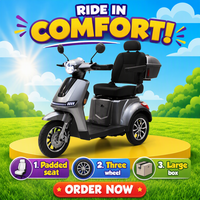 Scooter de mobilité pour personnes âgées, batterie amovible 30AH, charge 200kg, conduite électronique facile, sécurité, 25KM/H, moteur 1000W