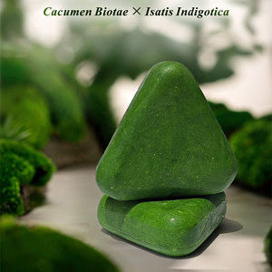 Trung Quốc màu xanh lá cây thảo dược công thức dưỡng ẩm dầu-kiểm soát Fluffy xà phòng làm mịn platycladus orientalis lá dầu gội hữu cơ - Product Image 5