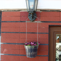Pot de plantation d'orchidées transparent en plastique de taille multiple de 18.3cm avec trous sur le côté et le fond