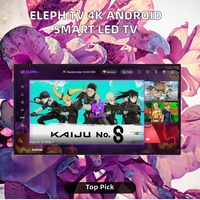 Televisor Inteligente Eleph TV IP Sudáfrica HD 4K Android LED 19" Negro para Hotel, Transmisión Multimedia, Panel de un Año