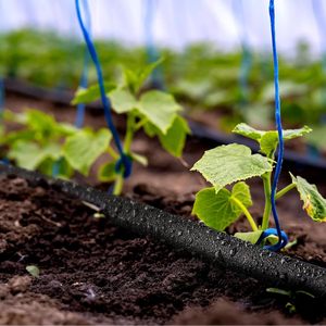 <span class=keywords><strong>Tuyau</strong></span> d'irrigation goutte à goutte poreux et durable F136, économiseur d'eau, pour jardins et légumes - Product Image 4