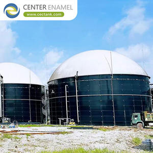 أكثر من 30 عامًا من عمر الخدمة ، هاضم الغاز الحيوي لمصنع الغاز الحيوي - Product Image 4