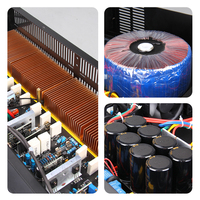 Profesyonel 2 kanallı çıkış güç amplifikatörü hoparlör Hifi Metal kabuk AMP