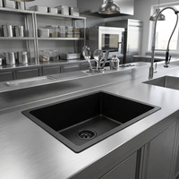 Évier de cuisine professionnel encastré noir 15x19 pouces, fait main, en acier inoxydable nano de calibre 16, cuve simple profonde, avec finition laiton