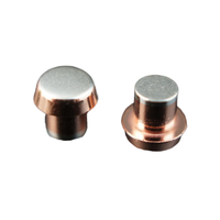 Pointe argentée 10A en acier inoxydable de classe 51 certifiée ISO15977, rivet de contact mobile personnalisé pour relais de puissance