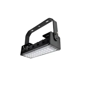 Meanwell Power Driver Giải Trí Ngoài Trời 50W Rgb Led Flood Light