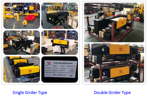 Hoogwaardige Elektrische Touwtakel Met Eenfase Stalen Versnellingsbak Nieuw Voor Retail Restaurant Industrie Europese Standaard - Product Image 4