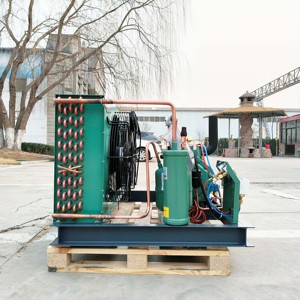 4HP kompresör çekirdek bileşenleri ile 20hp hava soğutmalı yoğuşmalı birim motor otomatik evaporatör dondurucu oda enerji tasarrufu - Product Image 5