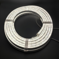 Bande lumineuse LED SMD néon de haute qualité, étanche IP67, à intensité variable, avec Wi-Fi/ télécommande, Ra90 CRI, garantie de 3 ans