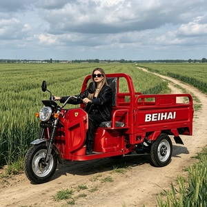 รถสามล้อซูเปอร์คาร์ BEIHAI ปี 2026 ราคาประหยัด มินิสกู๊ตเตอร์ 60V 2000W รถสามล้อโดยสารสำหรับผู้ใหญ่ - Product Image 4