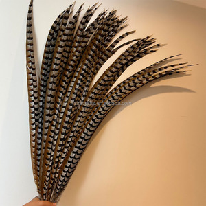 Plumes de queue de faisan Reeves Venery de 100-110 cm, plumes décoratives pour costume de carnaval, décoration de scène de mariage, fête - Product Image 6