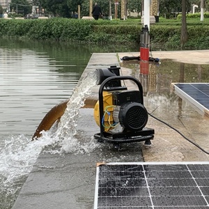 Offre Spéciale 0.5HP 350W pompe à eau de surface solaire DC pompe terrestre <span class=keywords><strong>avec</strong></span> moteur sans balais contrôleur MPPT pour l'irrigation - Product Image 5