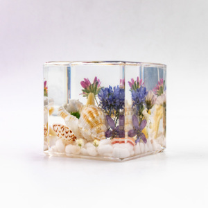 60Mm Kubushars Ornamenten Ambachten Met Echte Bloem Plant Specimen Oceaanschelp Hars Presse-Papier Voor Persoonlijke Geschenken Huisdecoratie - Product Image 6