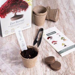 <span class=keywords><strong>Kit</strong></span> de <span class=keywords><strong>Cultivo</strong></span> de Bonsái OEM Xiamen, 5 Bonsáis Listos para Cultivar, Regalo de Jardinería y Decoración para Niños, para el Hogar, con Flores Artificiales - Product Image 6