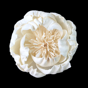 Fiori <span class=keywords><strong>di</strong></span> Peonia in <span class=keywords><strong>Legno</strong></span> Sola Artigianali all'Ingrosso, Fiori Artificiali in <span class=keywords><strong>Legno</strong></span> Sola per Decorazioni Casa e Matrimonio - Product Image 3
