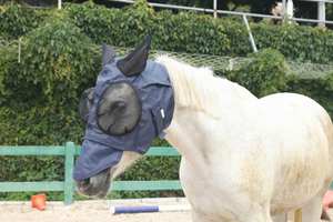 หน้ากากบินม้าสำหรับม้าที่มีหูหน้ากากบินม้าแบบกำหนดเอง - Product Image 5