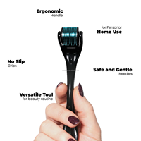 Dermaroller Pour Soins Capillaires, Traitement Facial, Beauté, 192 Micro-Aiguilles