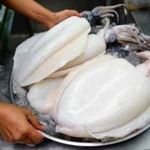 Calamar Silvestre Congelado IQF, Marisco Premium Entero, Limpio, Sin Espinas, Calidad de Exportación, Suministro de Pescado al por Mayor - Product Image 3