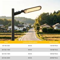 Lampe de rue LED extérieure OUTLUX G011 30W en alliage d'aluminium IP65 6500K CCT 130x75 Angle de faisceau Ra70 36000 heures Jardin Garantie 3 ans