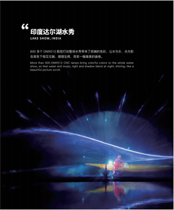 פרויקט מוצלח מקרה india dal אגם 3D אפקט סרט מים מזרקה - Product Image 5