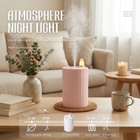 Humidificateur d'air électrique rechargeable pour la maison, brumisateur, humidificateur pour bébé, chambre à coucher, ultrasonique, brume, voiture, pièce, humidificateur H20, H2o