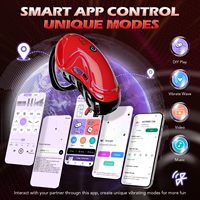 Männlicher Keuschheitskäfig Vibrierendes Keuschheitsgerät App-Fernbedienung 10 Vibrationen mit 5 Verstellbaren Ringen 2 Schlüssel Erwachsenenspielzeug für Männer