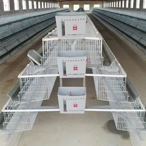 90-120 jaulas de batería de pollo para aves de corral capa de pollo una jaula de pollo de capa tipo para Bangladesh