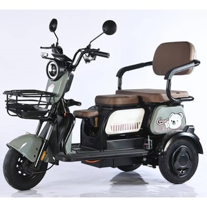 Triciclo Eléctrico de 3 Ruedas con Carrocería Abierta de Acero, Neumático 300-8, 48V, Motor de 600W en la Rueda Trasera, <span class=keywords><strong>Precio</strong></span> de Fábrica, para Adultos y Personas Mayores - Product Image 5