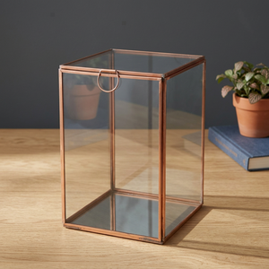 Vitrina de vidrio con marco de latón y puerta con bisagras para organizar joyas - Product Image 2