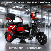 Tricycle Électrique à 3 Roues Direct Usine, Moteur Arrière 800W, Batterie 60V 20Ah, Acier Carbone, Passager, Certifié CE, Vente en Gros