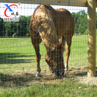 Valla de alambre de campo de hierro de Alambre Tejido de nudo fijo resistente S valla de caballo 2x4