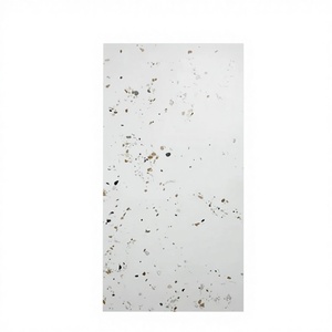 Piastrelle in Gres Porcellanato Effetto <span class=keywords><strong>Terrazzo</strong></span> Colorato Antiscivolo 600x1200mm, Spessore 10mm, per Pavimenti e Rivestimenti, Design Moderno Opaco per Appartamenti - Product Image 4