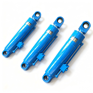 Cylindre hydraulique à double effet résistant à la corrosion, montage à œil, tige chromée pour machines de construction en extérieur - Product Image 1