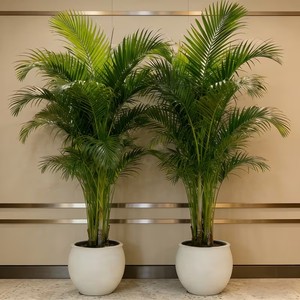 2 künstliche Palmen |   Realistische tropische Pflanzen mit üppigen grünen Blättern, wartungsfrei für Innen-/Außendekoration - Product Image 2