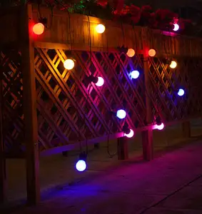 Guirlande de lumières de vacances de 30m et 60 leds Ampoule givrée de feston de LED extérieure connectable