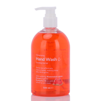 Savon liquide pour les mains antibactérien et bactériostatique pour femmes en famille, 500 ml, vente en gros