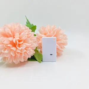 Dispositif de positionnement intérieur pour publicité en temps réel Android Balise thermique Bluetooth Bt 5.0 Suivi de localisation Ibeacon balises gps