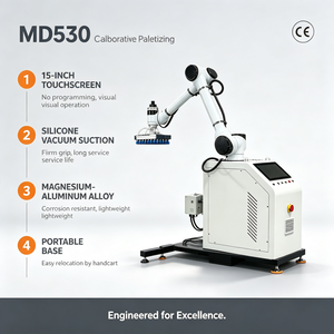 Robot Paletizador Integrado para Cajas de Cartón, Sistema Cobot de 6 Ejes con Base Móvil para Soluciones de Empaquetado en el Final de Línea - Product Image 6