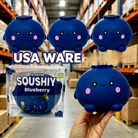 USA Warehouse Giant Blueberry Squishy Jumbo Geurende Fruit Blueberry Vormige Fidget Bal voor Stressverlichting