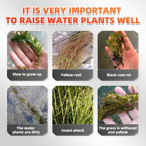 Stimulateur <span class=keywords><strong>de</strong></span> croissance <span class=keywords><strong>pour</strong></span> <span class=keywords><strong>plantes</strong></span> <span class=keywords><strong>aquatiques</strong></span> d'étangs, nutriments <span class=keywords><strong>de</strong></span> qualité alimentaire, améliore la croissance, améliore la qualité <span class=keywords><strong>de</strong></span> l'eau, prévient les algues - Product Image 5