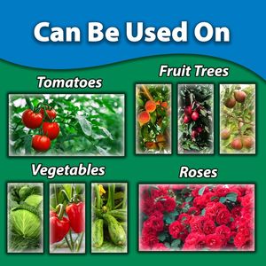 زيت النيم المركز المعصور على البارد من إيترون أليسا، علامة تجارية خاصة، درجة ممتازة، رذاذ للنباتات الداخلية والخارجية بمكونات طبيعية - Product Image 6